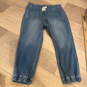 LANE BRYANT WOMENS DENIM JOGGERS PANTS SIZE 12